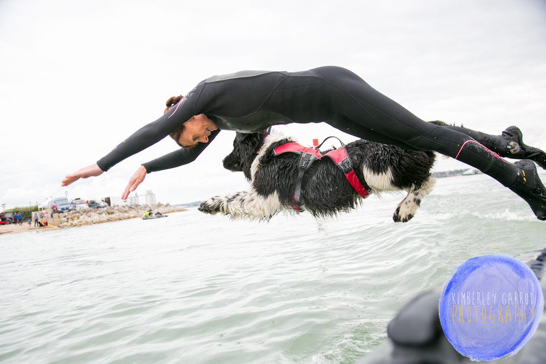Newfoundland Dog Rescue for Parkinson's UK Photographs By Kimberley Garrod Photography